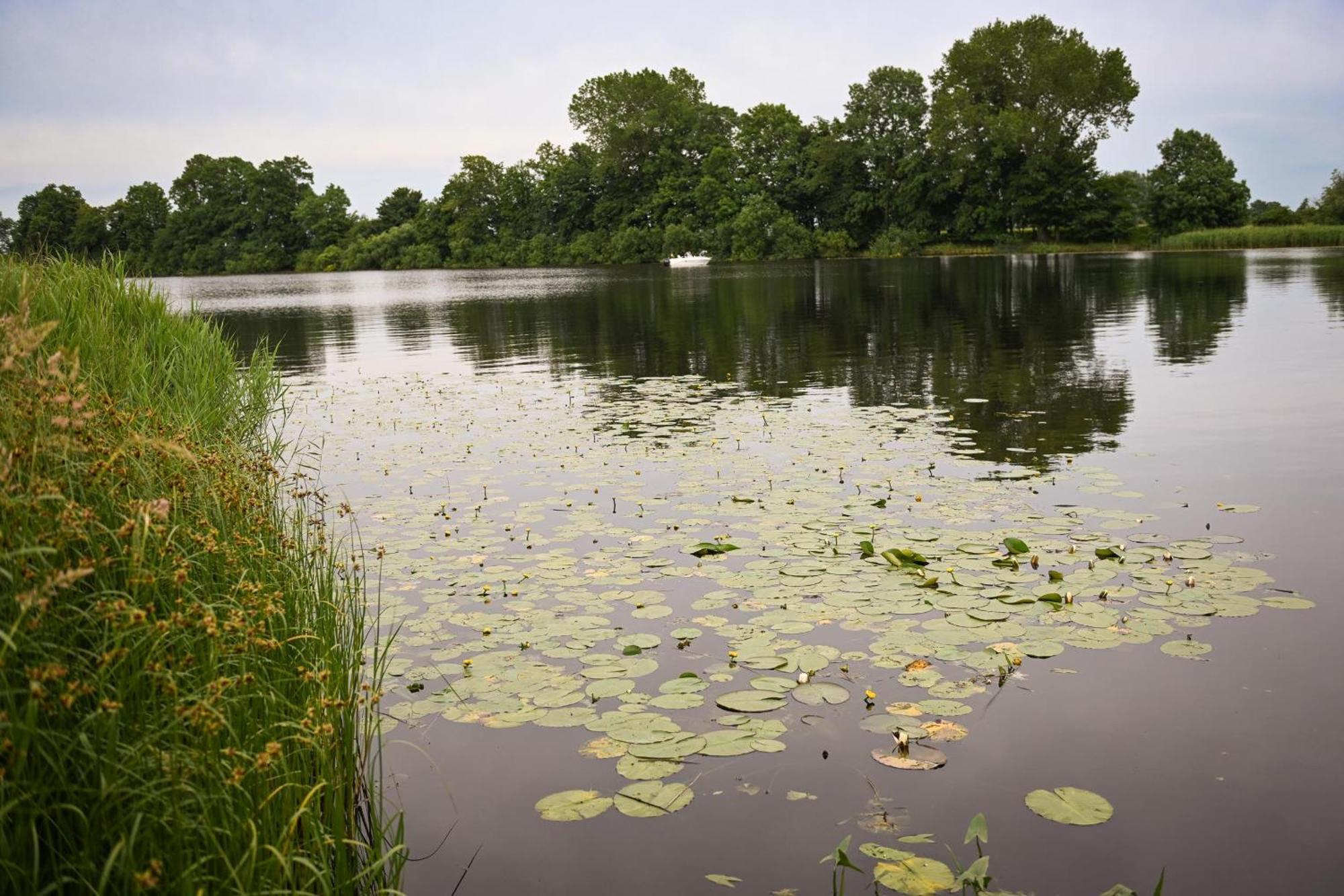 Ferienpark Suederstapel - Eiderlodge 3 Kültér fotó